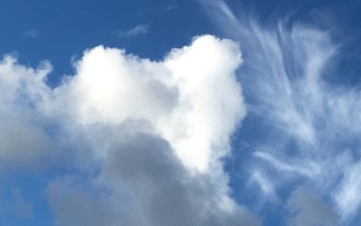 Scent of a Woman; Scent of a Man–Our Naturally Intelligent Fragrant Future